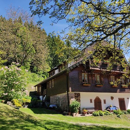 Ferienwohnungen Vogt'S Libding Bad Rippoldsau-Schapbach Kültér fotó