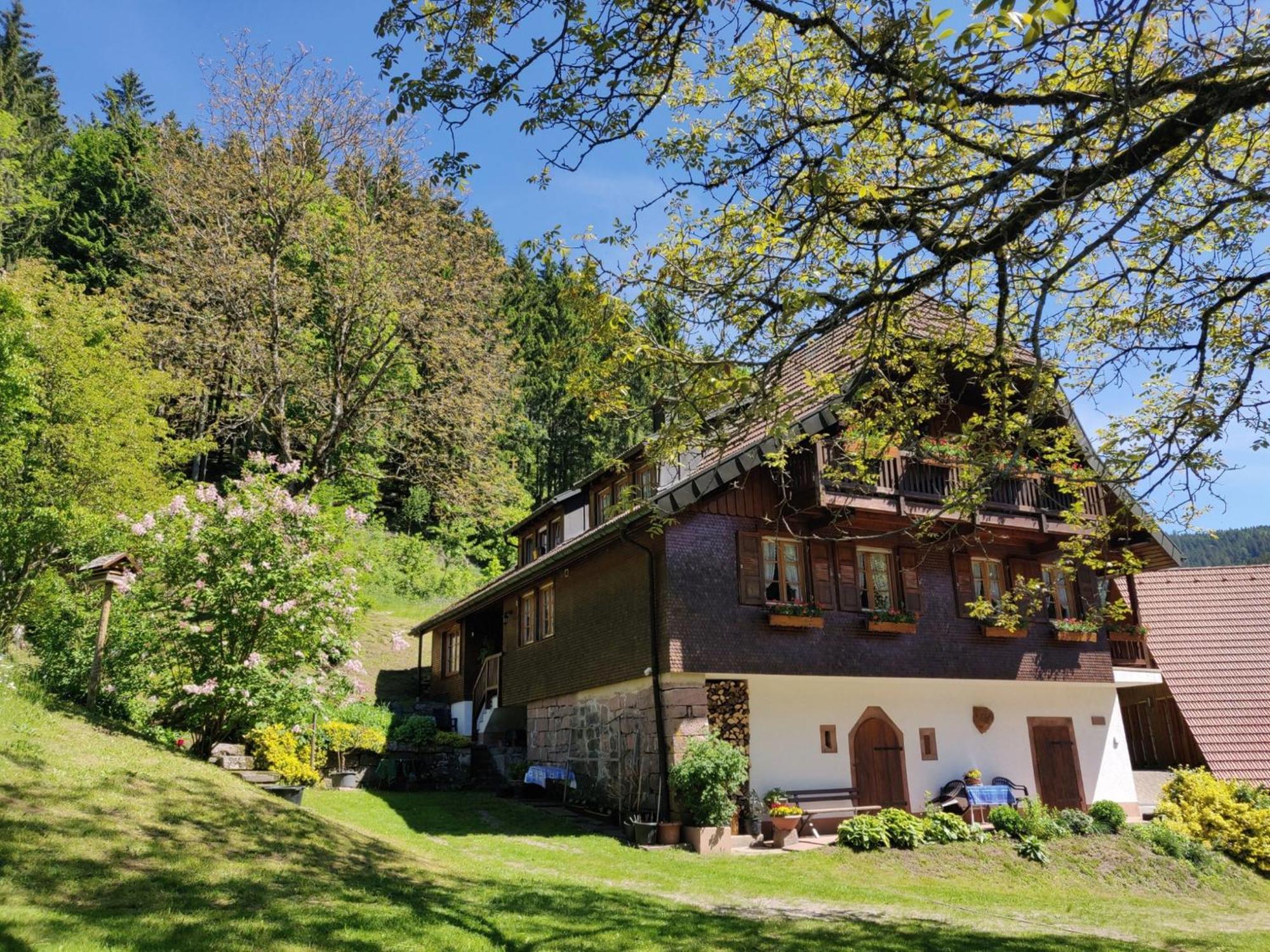 Ferienwohnungen Vogt'S Libding Bad Rippoldsau-Schapbach Kültér fotó